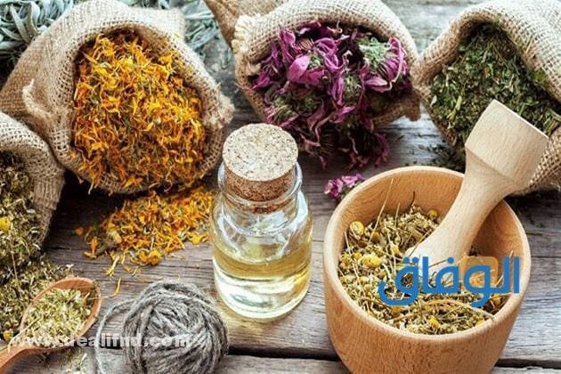 +08 أعراض الإنفلونزا ونزلات البرد!! وطرق علاجها؟؟ أعشاب طبيعية لعلاج الإنفلونزا