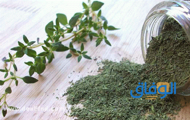 علاج حمى الضنك بالأعشاب (وأشهر 09 أعراض لها) أعشاب طبيعية للتخلص من حمى الضنك