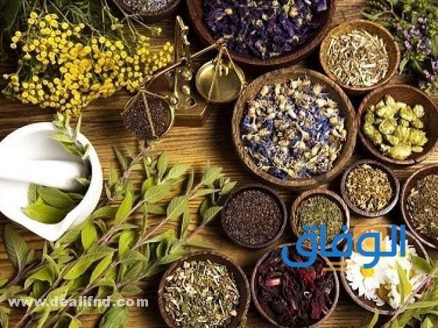 +05 (أعشاب لتكثيف الشعر بسرعة) 2024 وتطويله أعشاب لتكثيف الشعر بسرعة