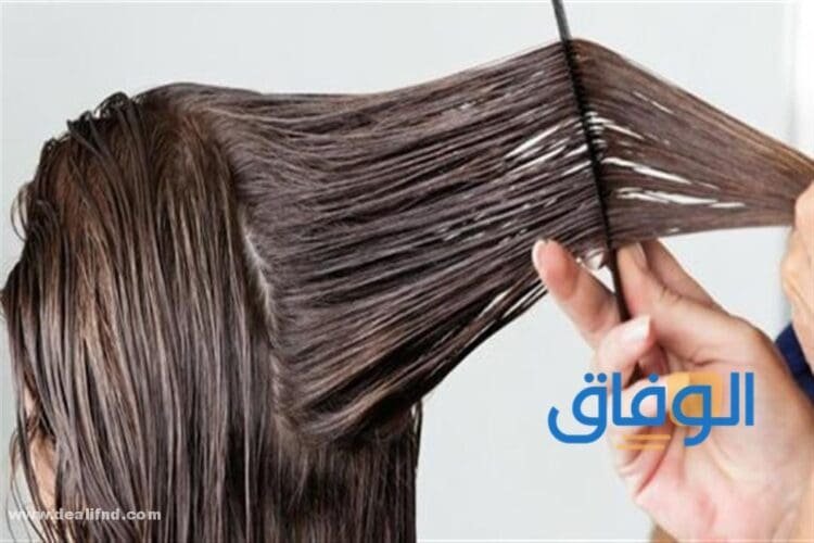 افضل بروتين للشعر في مصر