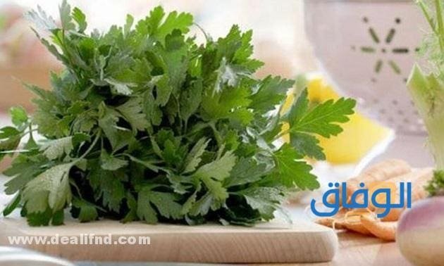 +08 فوائد الشعير المغلي مع البقدونس!! البقدونس