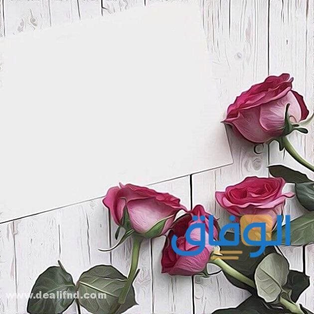 +25 خلفيات للتصميم | خلفيات للكتابة عليها مميزة !!