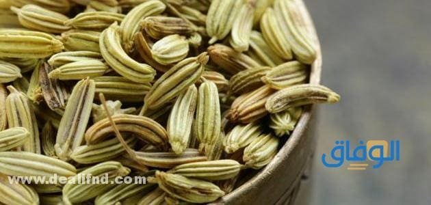 طريقة شرب الشمر للتخسيس