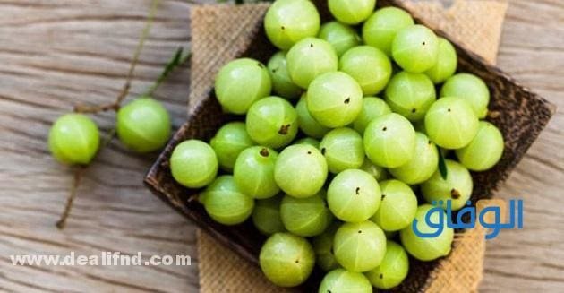 +05 (أعشاب لتكثيف الشعر بسرعة) 2024 وتطويله عشبة الأملا الأصلية