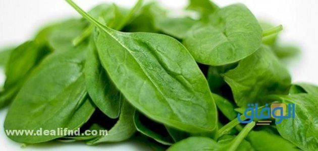 فوائد الجرجير للنساء المتزوجات