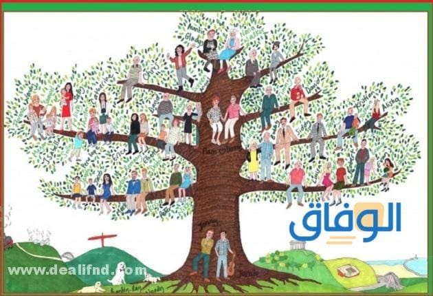 معرفة شجرة العائلة بالرقم القومي