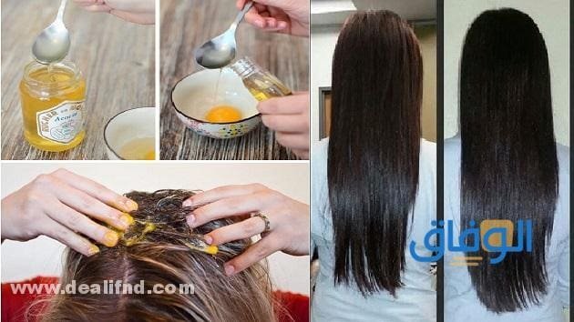 02 فرد الشعر طبيعيًا مدى الحياة !! بأفضل طريقة 2024 وصفة البيض وزيت الزيتون لفرد الشعر وتنعيمه