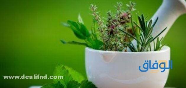 04 أعشاب مقوية للجسم (وبسعر مناسب جدا!!)