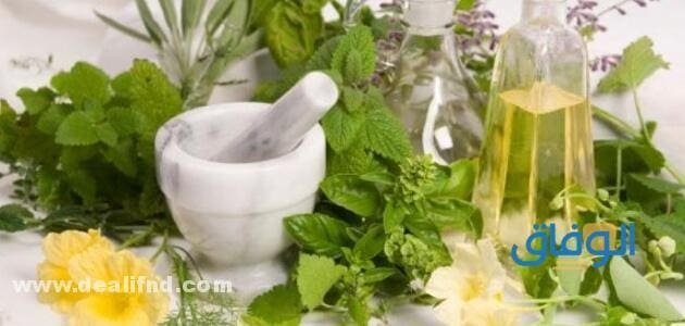 تقوية مناعة الجهاز التنفسي ( 05 أقوي اعشاب ونصائح ذهبية) 2024 !