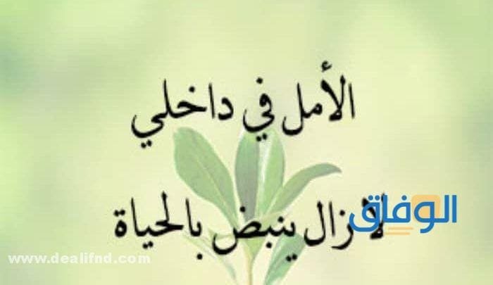 كلام جميل عن الحياة والحب