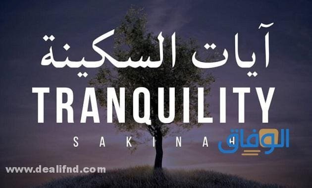 آيات السكينة الـ 06 وما فضلها؟