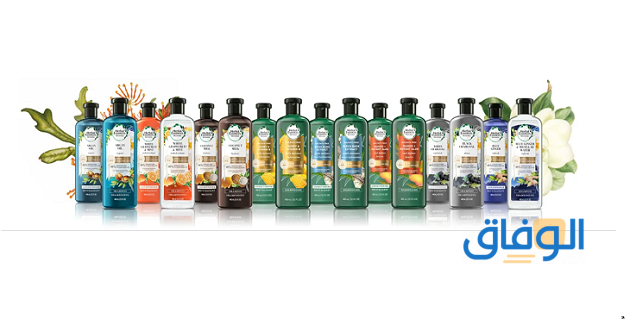 Herbal شامبو هيربل للشعر الدهني (دواعي وخطوات وموانع استخدام) أنواع شامبو هربل