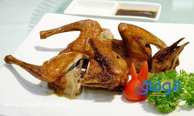 +10 فوائد أكل الحمام.!! الحمام