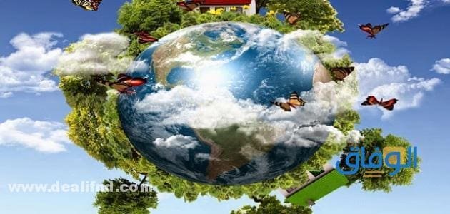 PDF - بحث علم البيئة بالعناصر 2026 word بحث علم البيئة