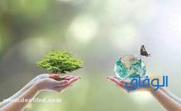 PDF – بحث علم البيئة بالعناصر 2024 word