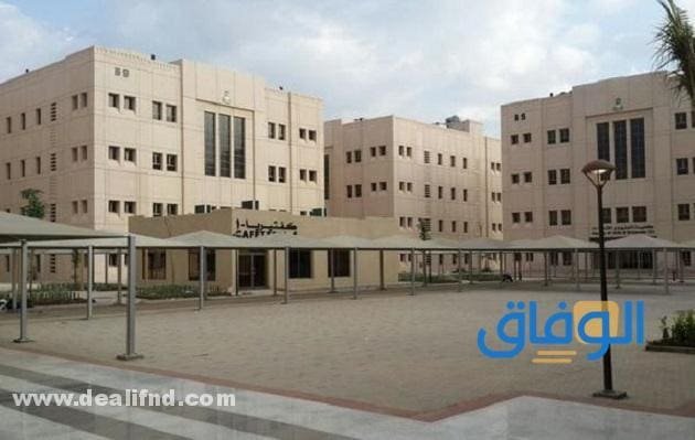 جامعات رابغ