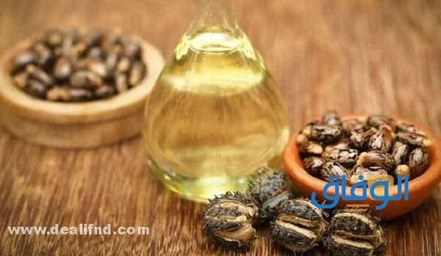 زيت الخروع للشعر تجربتي!! كيف كانت؟