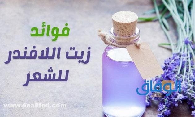 زيت اللافندر للشعر وأهم +10 فوائده