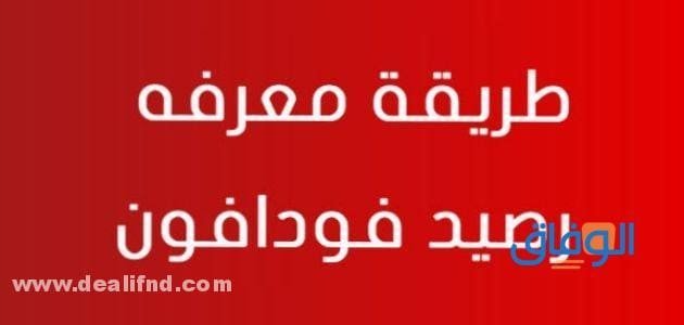 طريقة معرفة رصيد فودافون