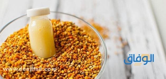 +10 فوائد غذاء ملكات النحل للرجال + استخداماته!! غذاء ملكات النحل