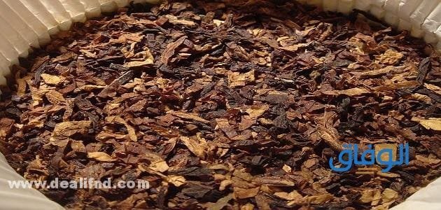 06 فوائد التنباك و07 أضراره : بالتفصيل؟!