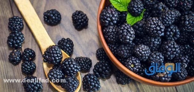فوائد التوت البري الأسود