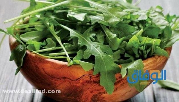 +09 (فوائد الجرجير) للرجال والسيدات و04 تحذيرات عند استخدامه!!