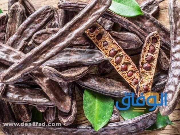 فوائد الخروب للقولون