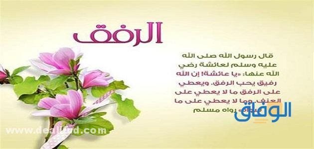 فوائد الرفق