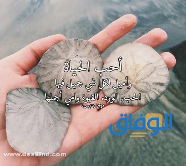 +100 اروع (كلام جميل عن الحياة والحب) 2026 كلام جميل عن الحياة والحب