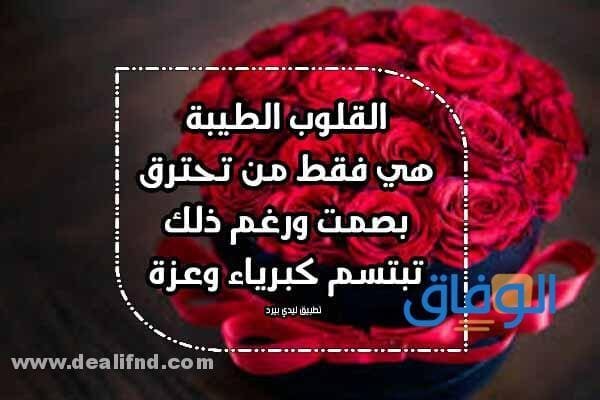 كلام جميل عن القلوب الطيبة