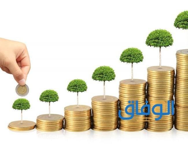 +10 (مشاريع مربحة جدا براس مال صغير جدا في الجزائر) جديدة 2026!! مشاريع مربحة جدا براس مال صغير جدا في الجزائر