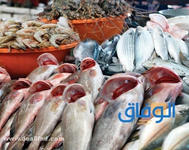 +10 (مشاريع مربحة جدا براس مال صغير جدا في الجزائر) جديدة 2026!! مشروع تجارة الأسماك بدون محل