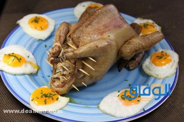 +10 فوائد أكل الحمام.!! منافع تناول الحمام