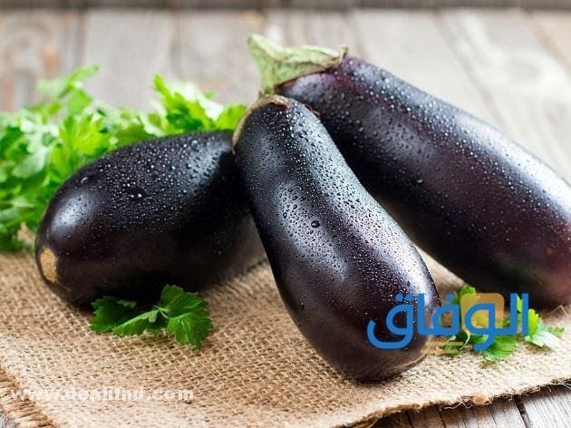 05 (فوائد الباذنجان النيء) ستندهش لمعرفتها!! نصائح هامة عند تناول الباذنجان غير المطهو