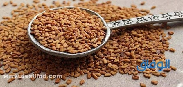 سؤال؟ هل الحلبه تسمن جواب نعم او لا؟!