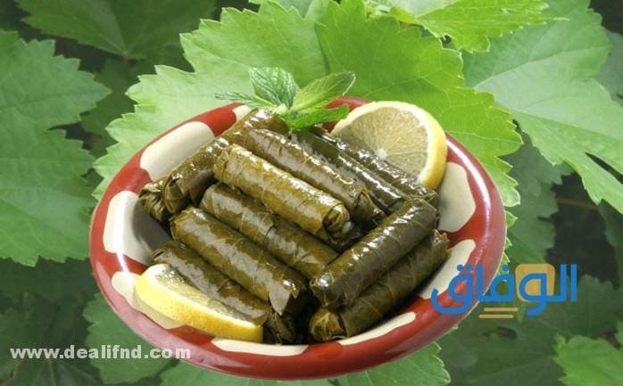 ورق العنب في المنام