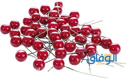 +20 فوائد الكرز (للبشرة، والشعر، صحة القلب، الأرق..الخ)