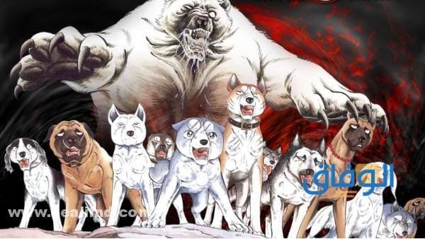 +10 أفضل أنميات anime مشهورة 2024 أنمي Silver Fang
