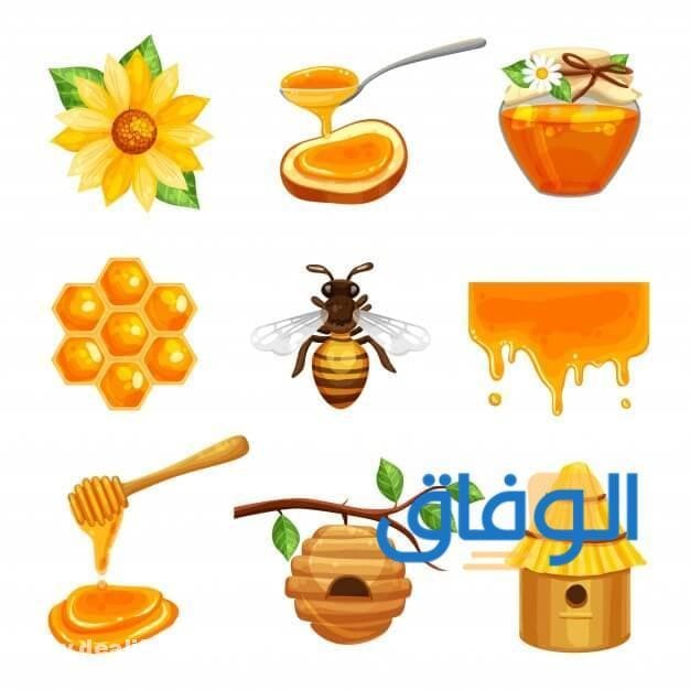 فوائد عسل السمر