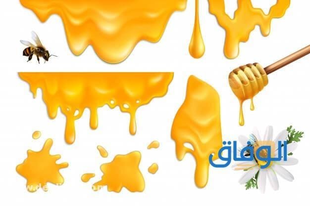 فوائد عسل السمر فوائد عسل السمر