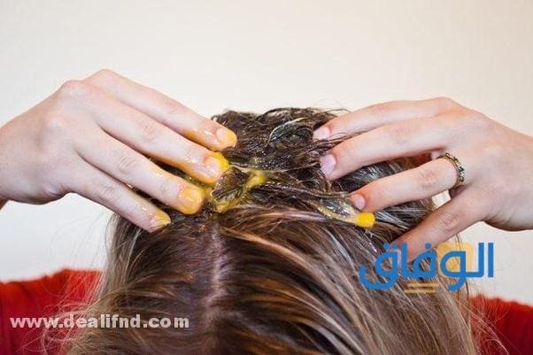 تجربتي مع البيض للشعر