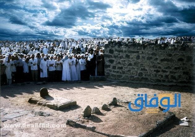 أسماء الصحابة | الصحابة والتابعين وعددهم؟! أسماء الصحابة والتابعين