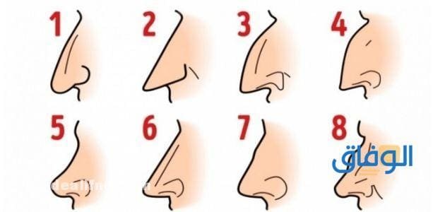 أشكال الأنف واسمائها