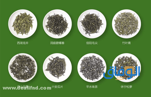 04 أفضل أنواع الشاي الأخضر؟ وفوائده؟ بالتفصيل؟ أفضل أنواع الشاي الأخضر