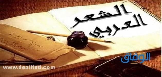 أنواع الشعر العربي (الجاهلي والحديث) واقسام كل نوع !؟