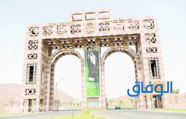 رابط taibahu.edu.sa - تسجيل الدخول نظام البلاك بورد جامعة طيبة خطوة بخطوة تخصصات جامعة طيبة