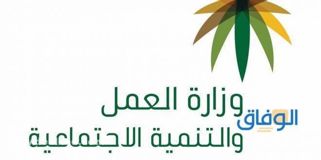 جدول (سلم رواتب التأهيل الشامل الجديد) بالتفصيل 2024 سلم رواتب التأهيل الشامل الجديد