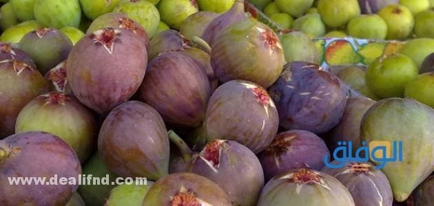 فوائد الحماط