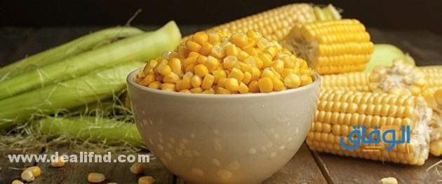 فوائد الذرة